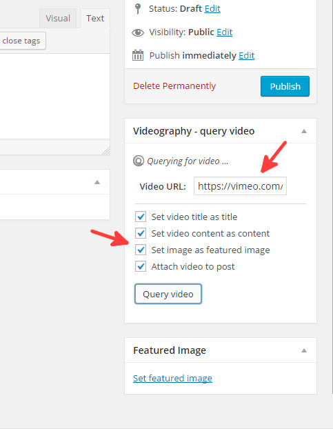 VideographyWP  post video query on